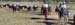 cwtr08-0625