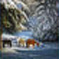 Christma Flash Card