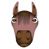 horse info