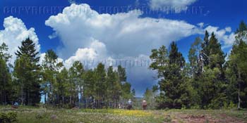 DSCF5695